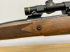 Charles Daly/Zastava Mauser-Style Blue 24" *SAFARI DANGEROUS GAME RIFLE*