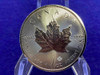 (25)* 2022 SILVER Canadian Maple Leafs -ORIGINAL FULL 25oz TUBE- 9999 Silver