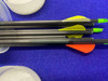Easton Carbon Storm 400 & Wood Arrow Lot *ARCHERY ARROWS AND STORAGE*