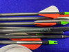 Easton Carbon Storm 400 & Wood Arrow Lot *ARCHERY ARROWS AND STORAGE*