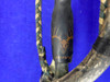 Hoyt Compound Bow Package *W/ MTM *CASE, ARROWS & ACCESSORIES*