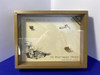 1967 Colt 1911 WWI Government .45 *SCARCE MEUSE ARGONNE COMMEMORATIVE*
