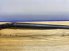 Henry & Richardson Model 1908 12Ga Blued 25.5" *AMAZING BREAK-ACTION*