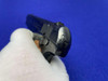 1910 Colt M1908 Pocket Hammerless .380ACP *EXCELLENT SEMI-AUTOMATIC COLT*