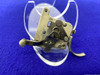 *CUSTOM SHOP INVENTORY* Remington Model 700 XMP RH Trigger (Non-Adjustable)-GID1194187084