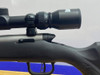 Savage B-Mag .17 WSM Stainless 22" *BUSHNELL 3-9X40 WATERPROOF RIFLE SCOPE*