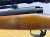 1962 Winchester Model 70 .243 Win 24" Blued *HIGHLY DESIRABLE PRE-64 MODEL*