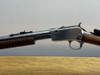 Taurus Model 62 .22LR 23" Stainless *REAR TANG MOUNTED PEEP HOLE SIGHT*