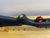 Ruger Mini-14 .223 Rem Blued 16.12" *NRA LICENSED SPECIAL EDITION*