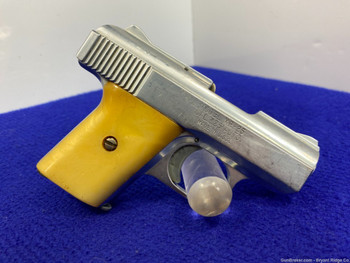 Raven Arms MP-25 .25 ACP Chrome 2 3/8" *AMAZING SEMI-AUTOMATIC PISTOL*