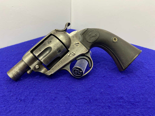 1902 Colt Bisley Single Action Army .38 WCF *RARE 2" "BELLY GUN" VARIANT*