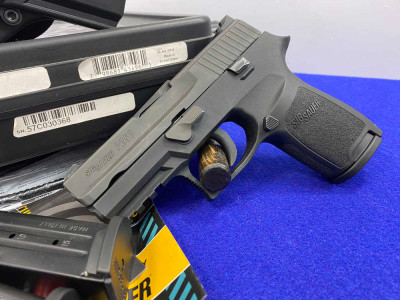 Sig Sauer P250 380 Acp Black Nitron 3.9" *COMPACT SEMI-AUTO PISTOL*