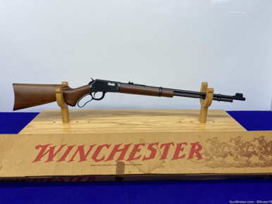 稼ぐギャンブル他一式 pix546653314__94411.1728926891