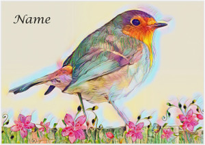 Rainbow Robin - Personalised Rainbow Robin - Personalised