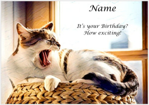 How Exciting Cat - Personalised
