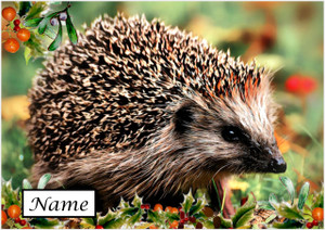Winter Hedgerow Hedgehog - Personalised