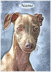 Greyhound Whippet Portrait - Personalised