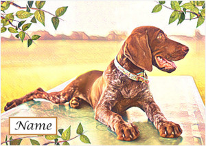 Pointer at Rest - Personalised Pointer at Rest - Personalised