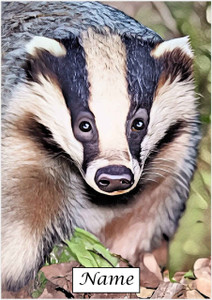 Curious Badger - Personalised