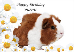 Daisy Guinea Pig - Personalised Daisy Guinea Pig - Personalised