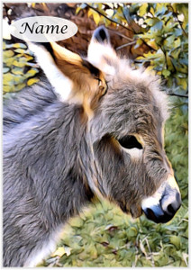 Little Painted Donkey - Personalised Little Painted Donkey - Personalised
