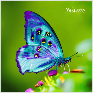 Butterfly Blues - Personalised