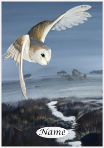 Barn owl portrait - Personalised Barn owl portrait - Personalised