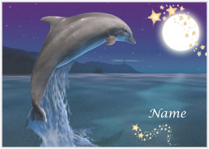 Moon Dolphin - Personalised Moon Dolphin - Personalised
