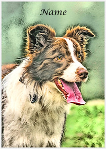 Brown Border Collie Painted - Personalised Brown Border Collie Painted - Personalised