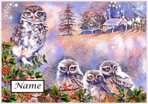 Little Owl Christmas - Personalised Little Owl Christmas - Personalised