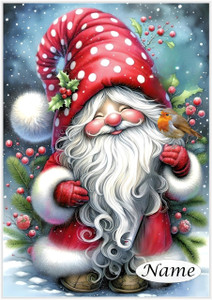 Santa Gnome & Robin - Personalised Santa Gnome & Robin - Personalised