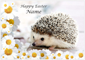 Baby Bramble Easter - Personalised Baby Bramble Easter - Personalised