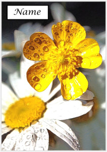 After the Rain - Personalised After the Rain - Personalised