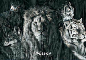 Wild Collection - Personalised Wild Collection - Personalised