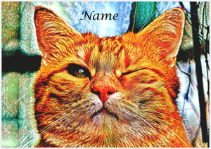 Cat Wink - Personalised