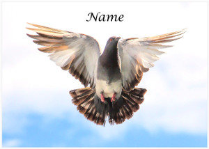 Pigeon In Flight - Personalised