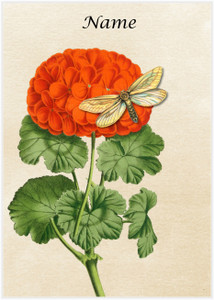 Geranium Moth - Personalised