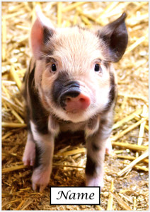 L'il Piglet - Personalised