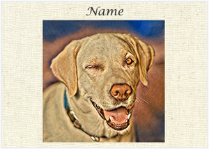 Dog Wink - Personalised