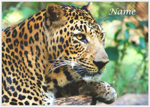 Wild Cat - Personalised Wild Cat - Personalised