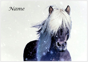Winter Moor Pony - Personalised Winter Moor Pony - Personalised