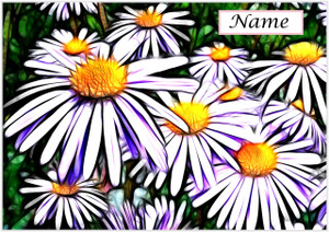 Abstract Daisies - Personalised