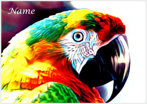 The Parrot - Personalised