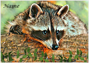 Raccoon Painted Style - Personalised