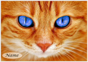 Sapphire Eyed Cat 2 - Personalised Sapphire Eyed Cat 2 - Personalised