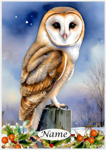 Christmas Barn Owl Watercolour - Personalised