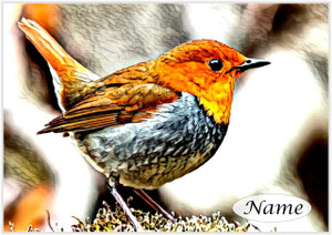 Visiting Robin - Personalised
