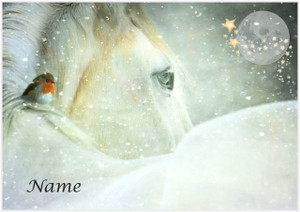Riding with the Snow Pony - Personalised