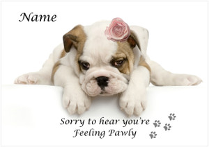Pink Bulldog Get Well - Personalised