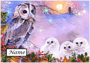 Tawny Owl & Owlets Christmas - Personalised Tawny Owl & Owlets Christmas - Personalised